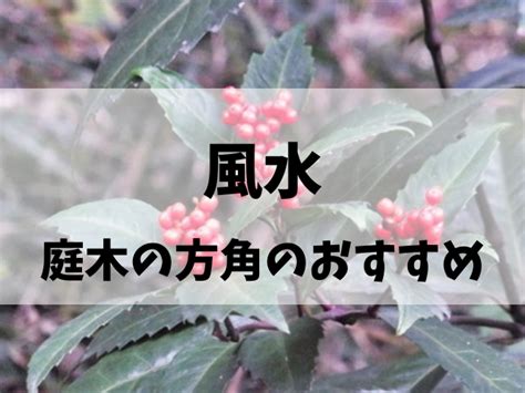 なつめの木 風水|家相風水での庭木の東西南北全方角別の吉凶と具体的な種別を解。